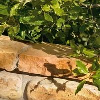 bradstone natural sandstone walling modac coping edging 450 x 160 x 40 ...