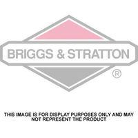 Briggs & Stratton Briggs & Stratton 4HP Sprint Petrol Engine