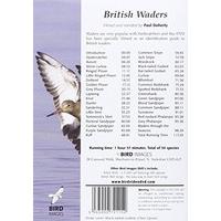 British Waders [DVD]