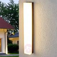 Bright LED outdoor wall lamp Cahita