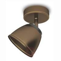 bronze coloured county led spotlight