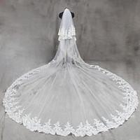 Bride Bridesmaids Beige / White Wedding Veil Two-tier Cathedral Veils Lace Applique Edge Tulle Netting