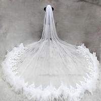 Bride Bridesmaids Beige / White Wedding Veil One-tier Cathedral Veils Lace Applique Edge Tulle Netting