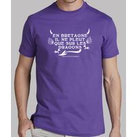 brittany it only rains about dragons - t-shirt