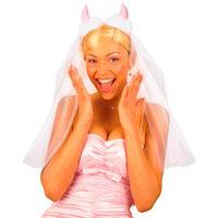 Bridal Veil With Pink Horns