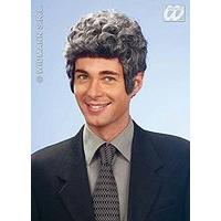 Brad Grizzled Wig For Hair Accessory Fancy Dress