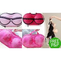 Bra Travel Case - FREE DELIVERY