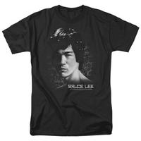 bruce lee in your face