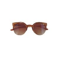 Brown and Gold Metal Trim Sunglasses