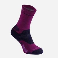 bridgedale womens woolfusion trekker socks purple