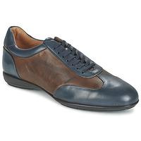 Brett Sons CASTLE men\'s Casual Shoes in blue