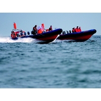 Brighton Discover RIB Riding