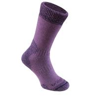 BridgedaleWomen\'s MerinoFusion Summit Socks, Purple - Large