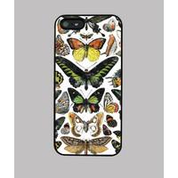 butterflies