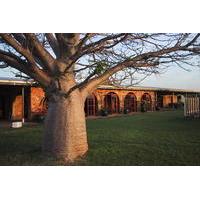 Bullo River Explorer Tour from Kununurra