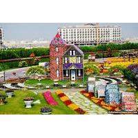 Butterfly and Miracle Garden Tour Dubai