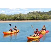 Burleigh Head National Park to David Fleay Wildlife Park Kayaking Tour from the Gold Coast