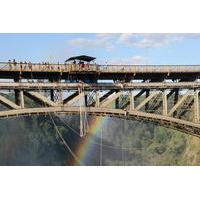 bungee jump bridge swing or zipline from the victoria falls bridge