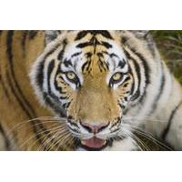 Buenos Aires Temaiken Zoo