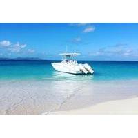 Buck Island Private Charter from St Croix