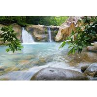 Buena Vista Rainforest Combo Tour