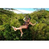 Buena Vista Combo Tour: Ziplining and Hot Springs from Guanacaste