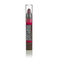 burts bees lip crayon 311g