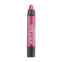 Burt\'s Bees Lip Gloss Crayon 2.83g