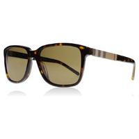 Burberry 4181 Sunglasses Tortoise 3002-73 58