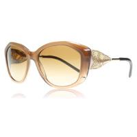 Burberry 4208Q Sunglasses Brown 317313