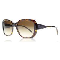 Burberry 4192 Sunglasses Tortoise 3002/13