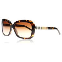 Burberry 4173 Sunglasses Tortoise 300213