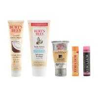 burts bees the hive collection gift set