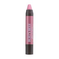 Burt\'s Bees Lip Gloss Crayon 2.83g