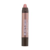 Burt\'s Bees Lip Gloss Crayon 2.83g