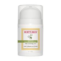 Burt\'s Bees Sensitive Skin Day Cream 50g