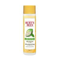 burts bees more moisture baobab shampoo 295ml