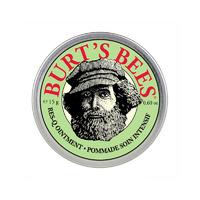 Burt\'s Bees Res-Q Ointment 15g