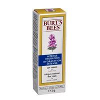 burts bees intense hydration eye cream 10g