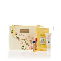 Burts Bees Discover Nature Gift Set
