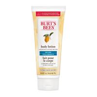 Burt\'s Bees Cocoa and Cupuaçu Butters Body Lotion (170g)
