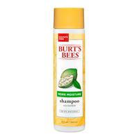 burts bees more moisture baobab shampoo 300ml