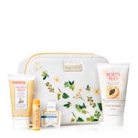 burts bees burts bag of treats gift set