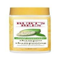 burts bees more moisture shampoo 295ml 1 x 295ml