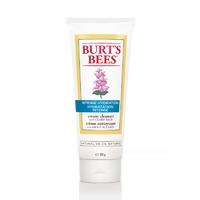 Burt\'s Bees Intense Hydration Cream Cleanser 170g