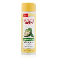 burts bees more moisture baobab shampoo 295ml