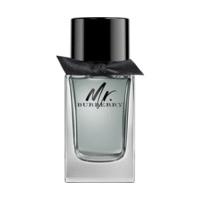 burberry mr burberry eau de toilette 100ml