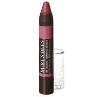 Burt\'s Bees Lip Crayon (Niagara Overlook)