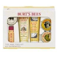burts bees tips toes kit
