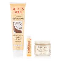 burts bees nuts about nature gift set